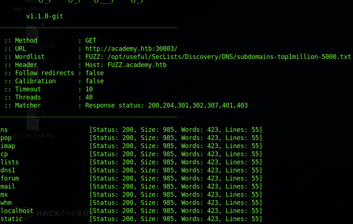 HTB Academy: Attacking Web Applications With Ffuf Skills Assessment ...